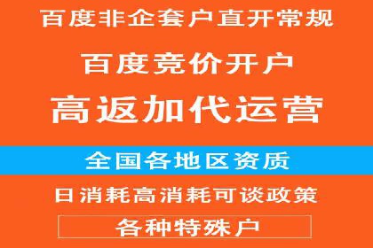 SEM代理实战：成功案例分享与经验总结